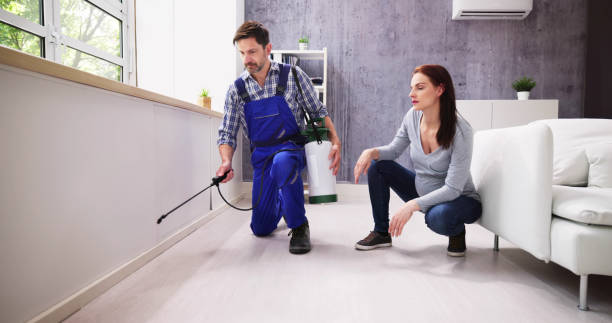 Best Pest Prevention Services  in Nedrow, NY